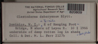 Image Associated With the Occurence